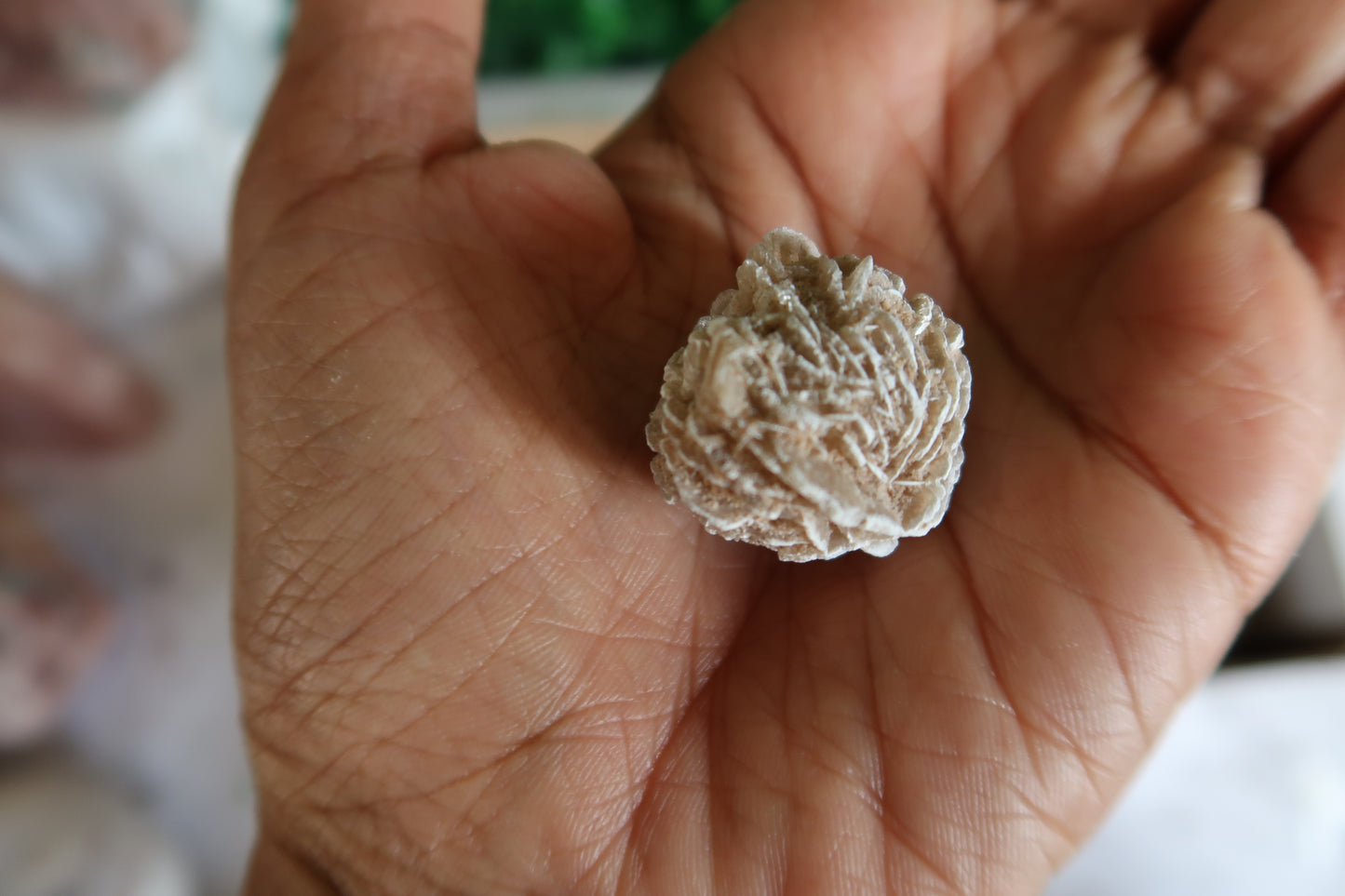 Desert Rose Selenite Buds