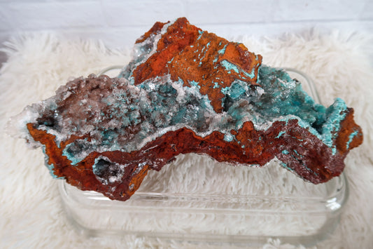 Rosasite with Aurichalcite on Matrix Specimen #1