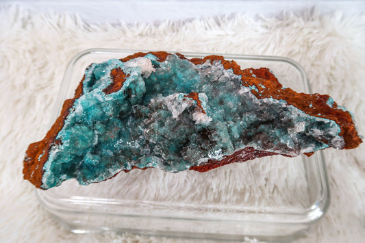 Rosasite with Aurichalcite on Matrix Specimen #2