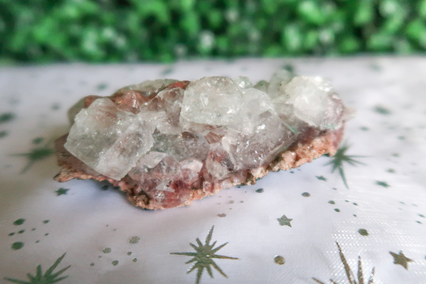 Beautiful Mini Apophyllite Crystal Clusters