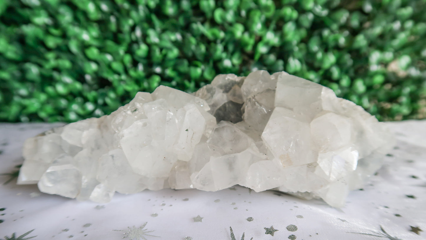 Beautiful Apophyllite Crystal Clusters