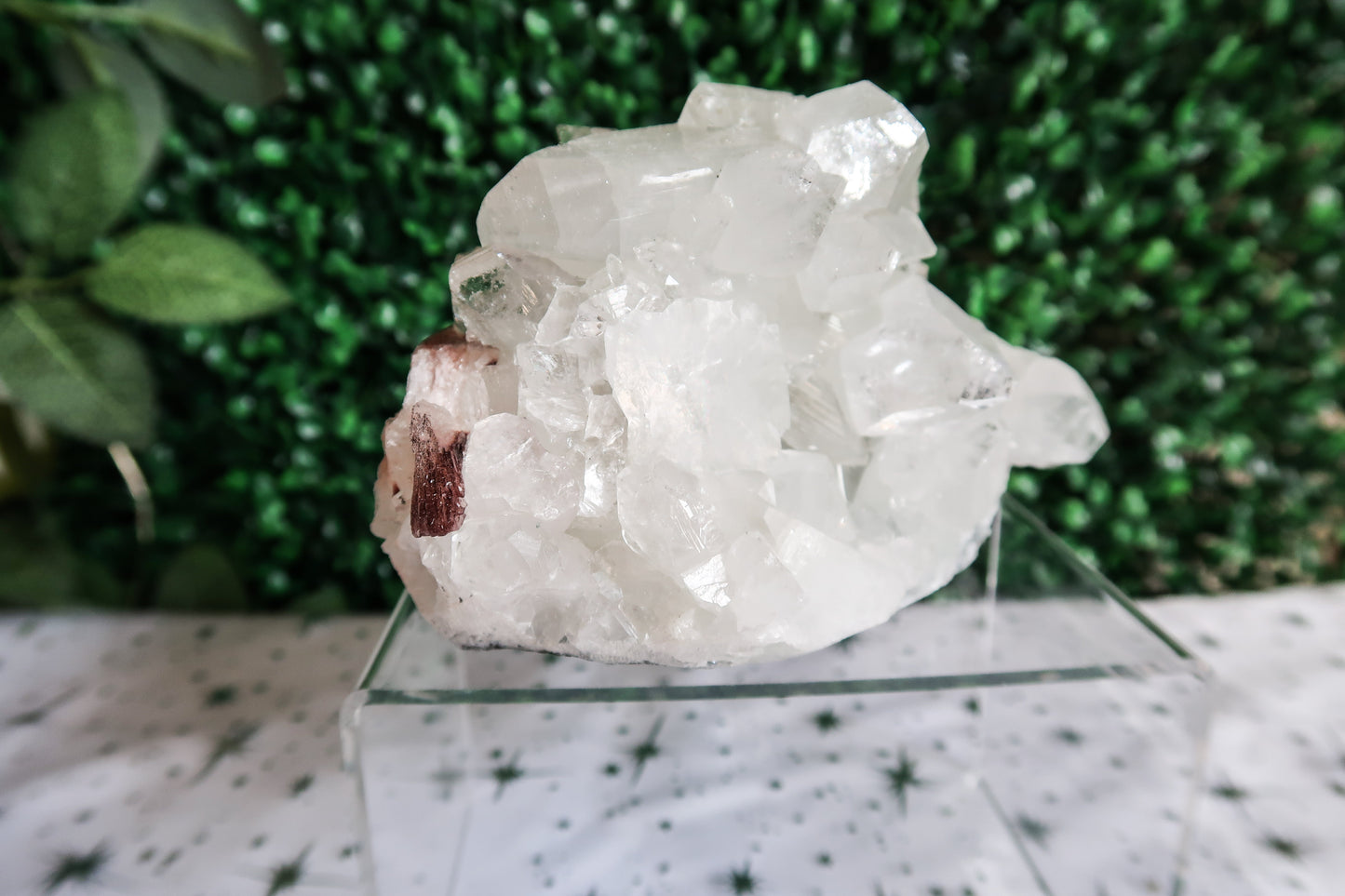 Exquisite Diamond Apophyllite Cluster Crystal with Red Stilbite