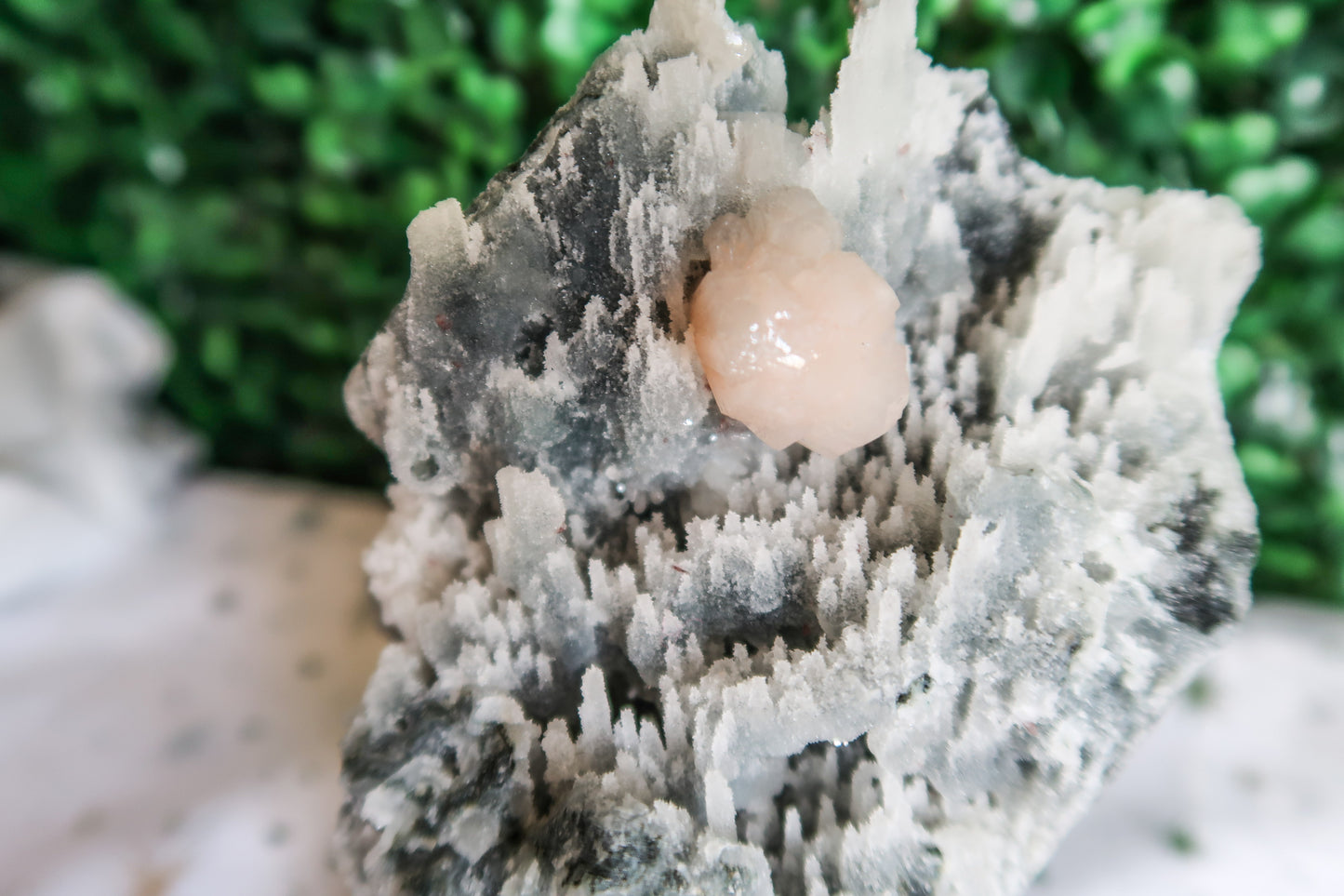 Apophyllite on Chalcedony with Stilbite Flower