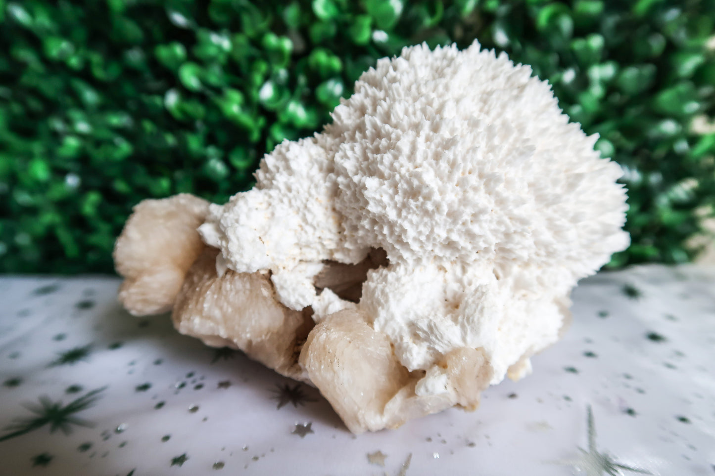 Stunning Scolecite on Stilbite