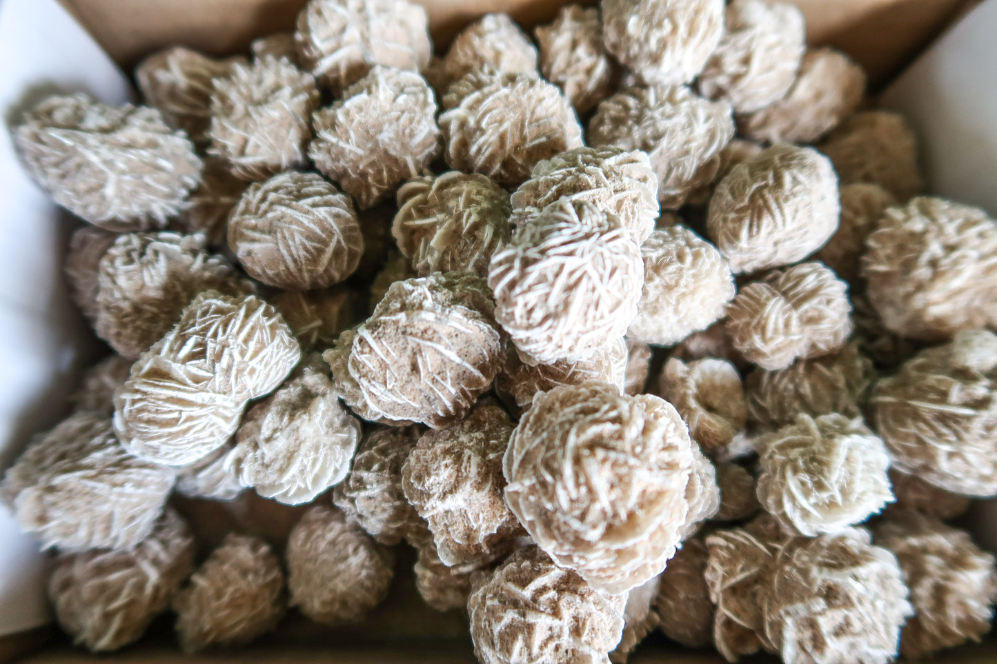 Desert Rose Selenite Buds