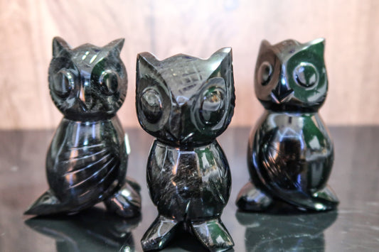 Obsidian Gold Sheen Owls