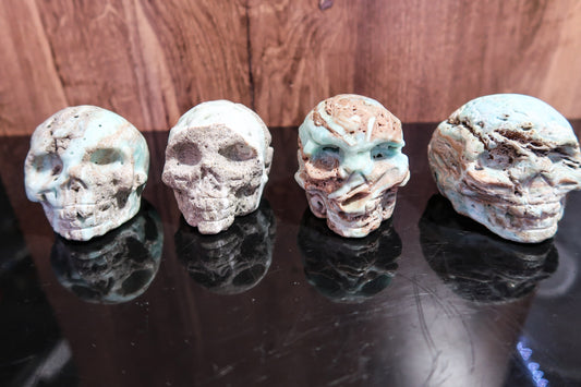 Caribbean Calcite Skulls