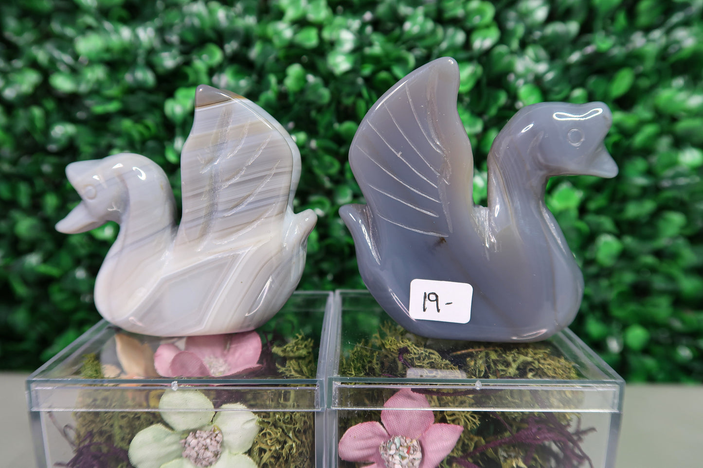 Graceful Agate Swans