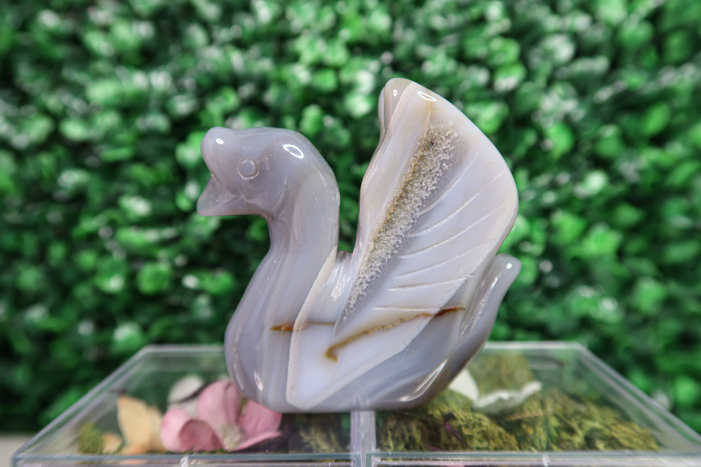 Graceful Agate Swans