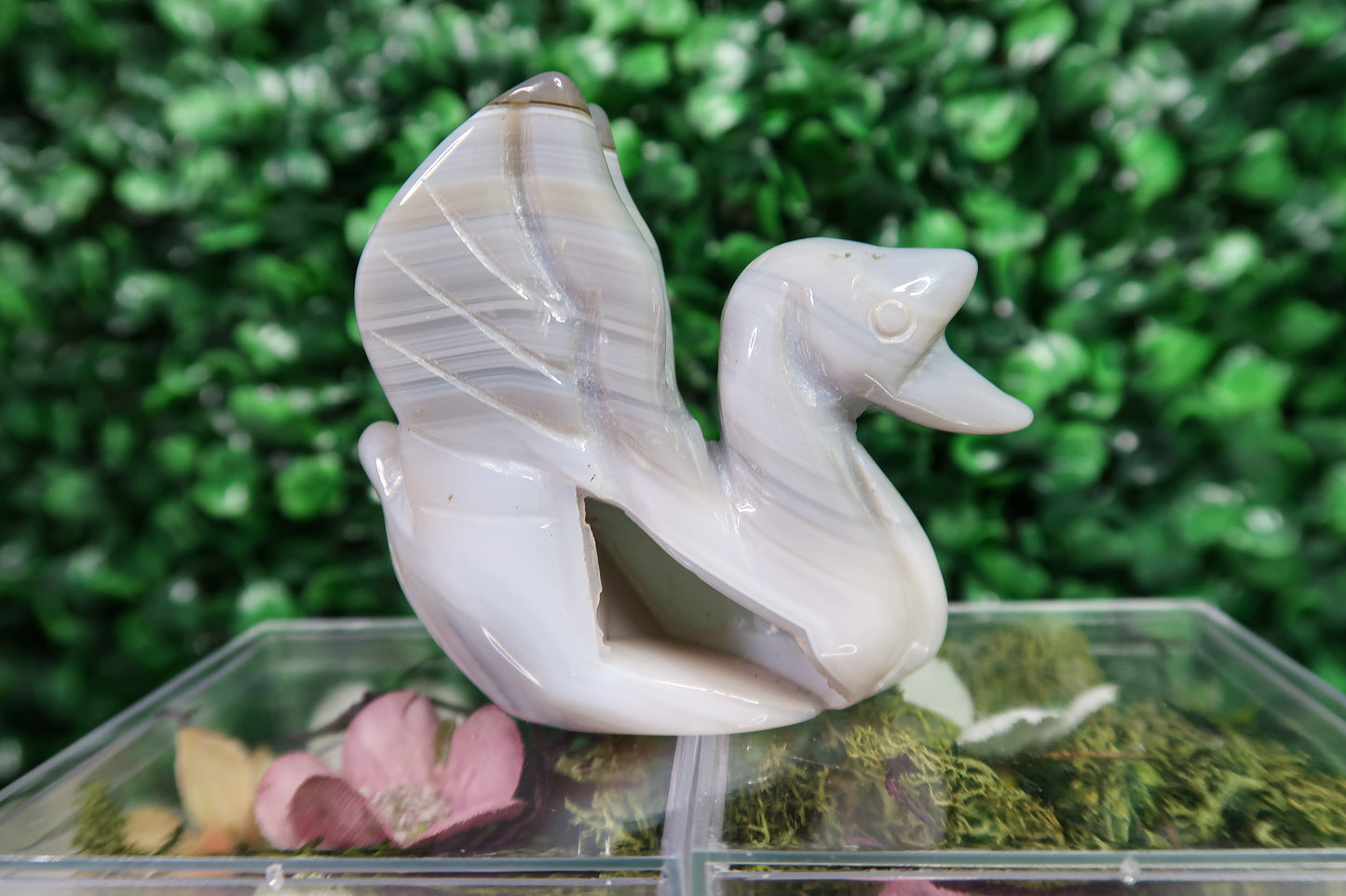 Graceful Agate Swans