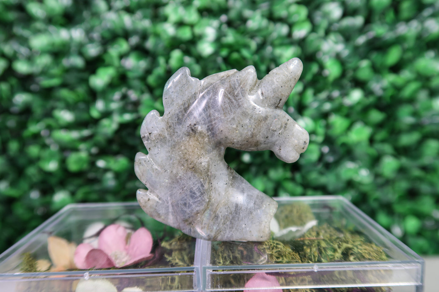 Crystal Unicorns