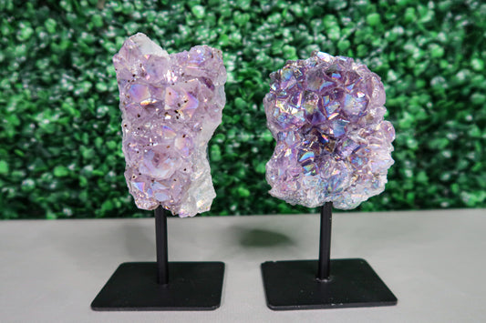 Aura Amethyst Clusters on Stands