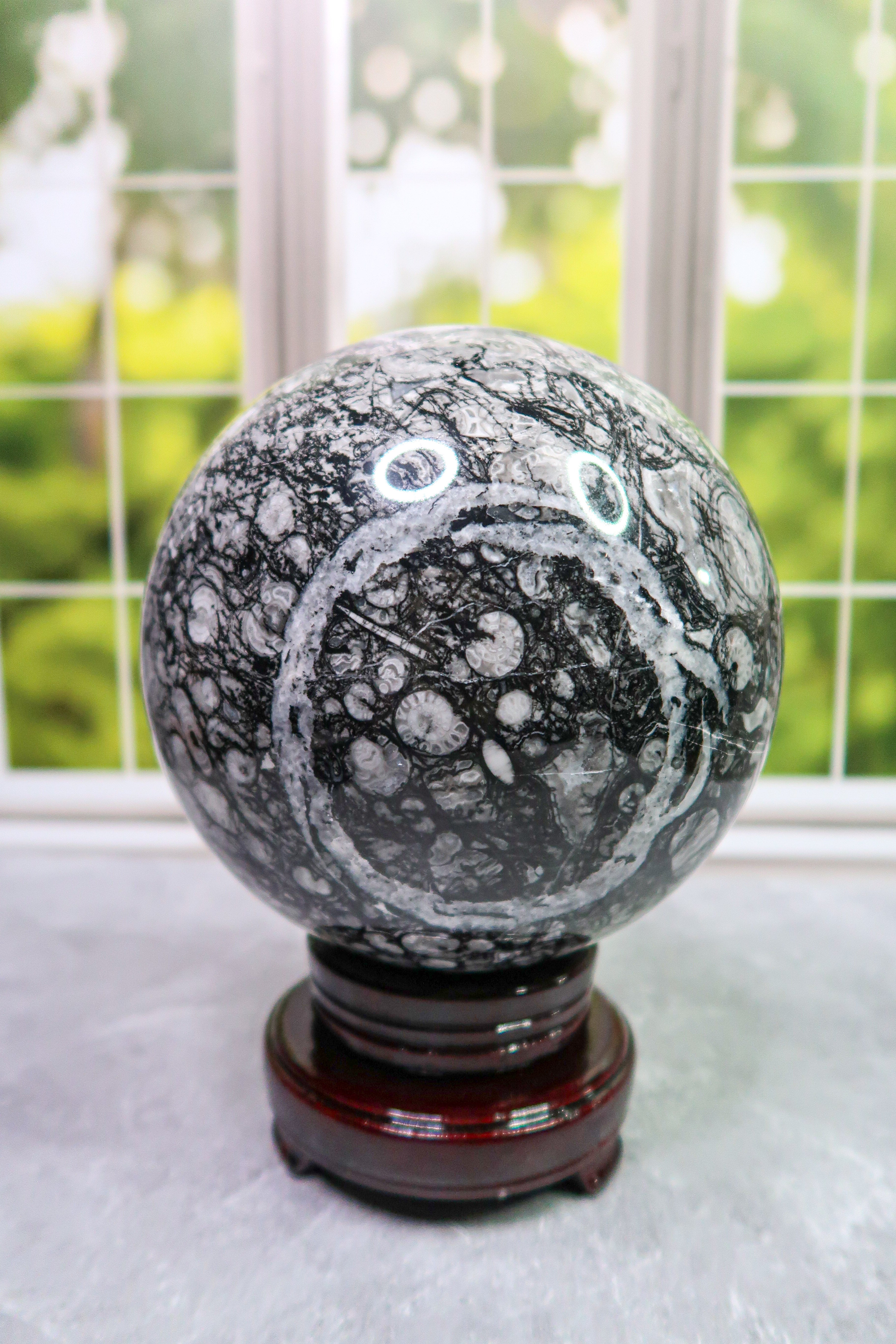 XL Crinoid Fossil Sphere – Chelle Bloom