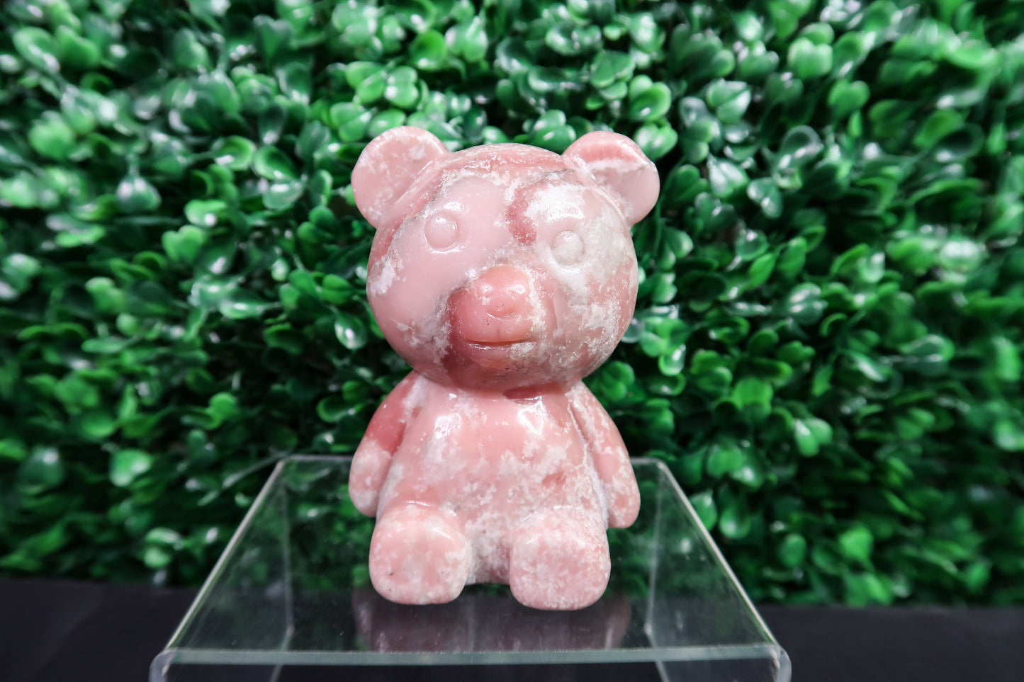 Pink Opal Bear