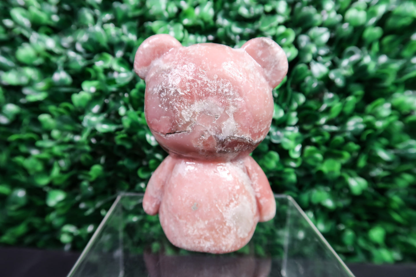 Pink Opal Bear