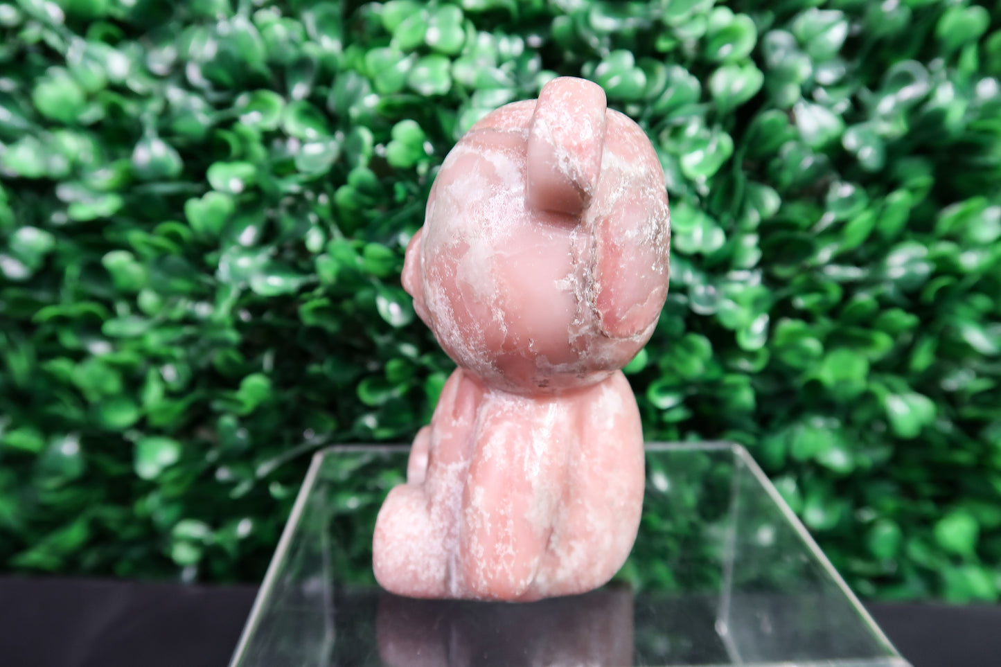 Pink Opal Bear