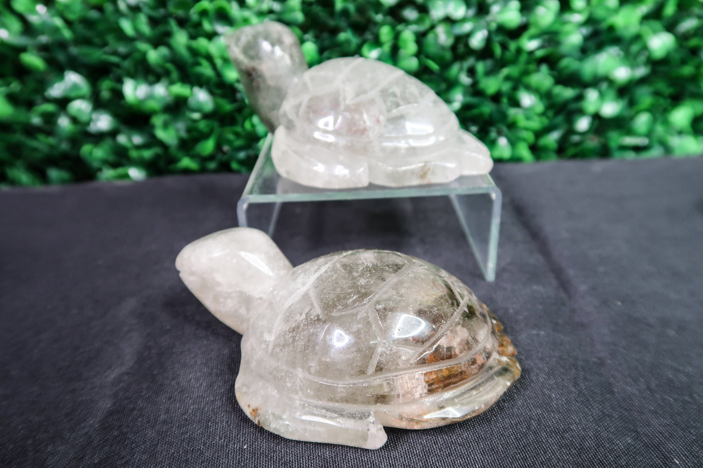 Garden Quartz Turtles