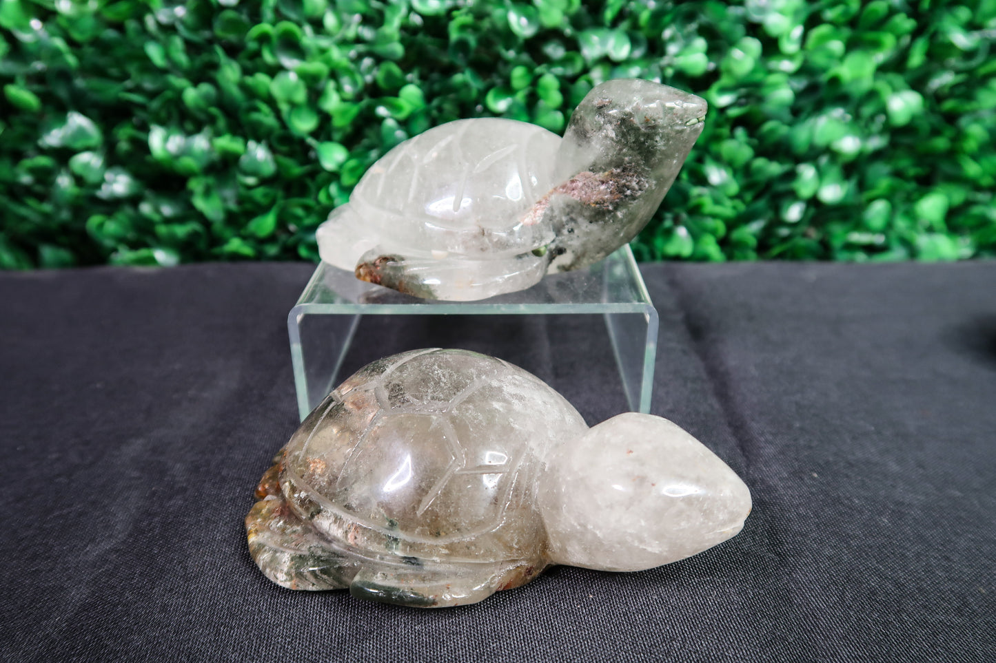 Garden Quartz Turtles