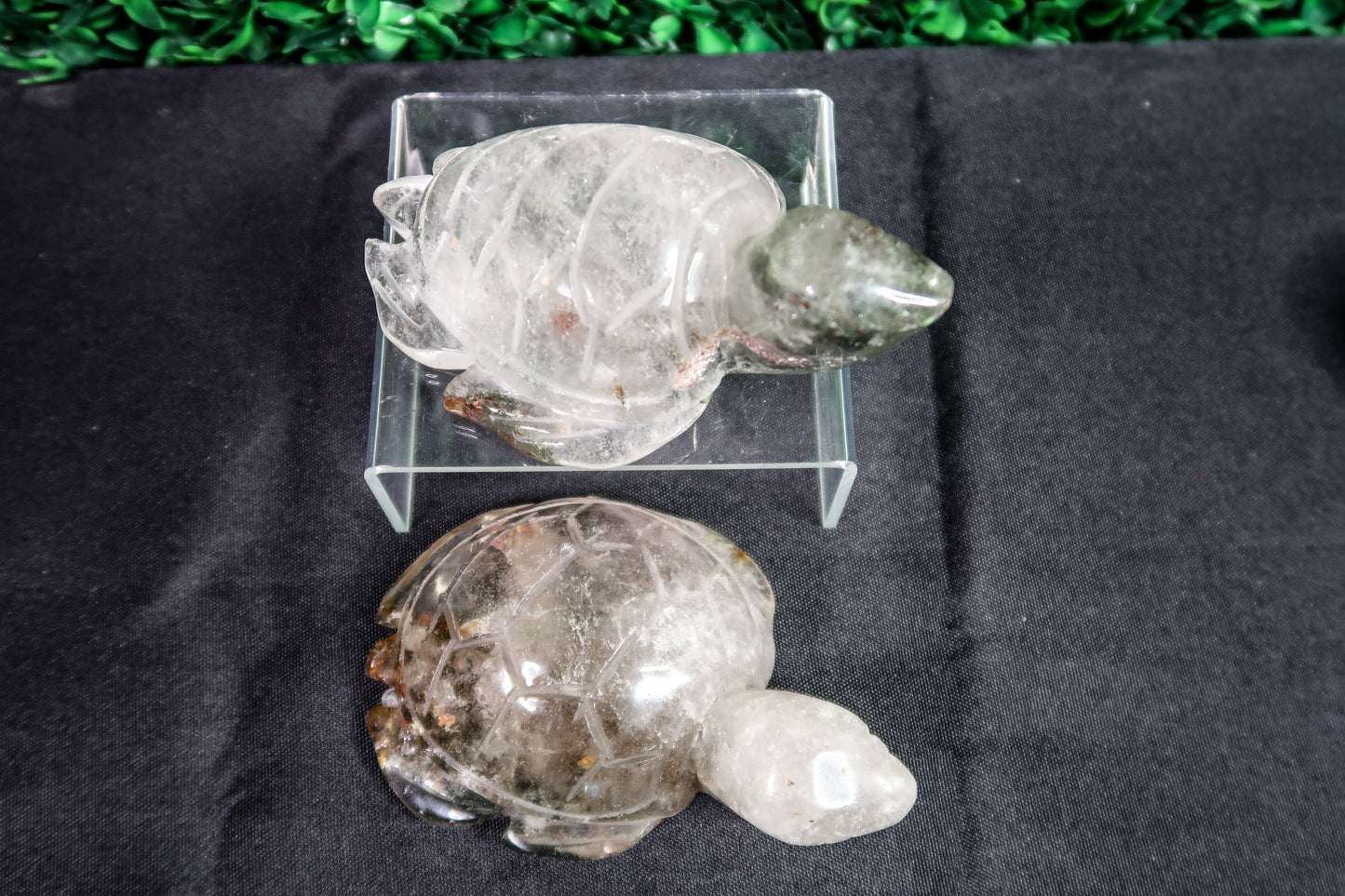 Garden Quartz Turtles