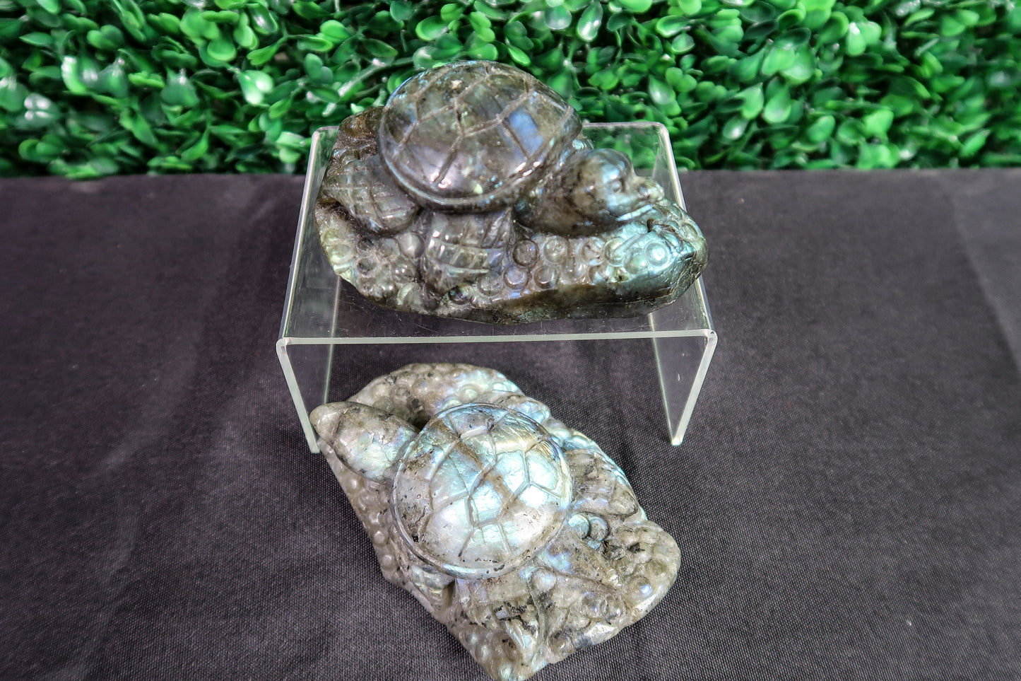 Labradorite Turtles