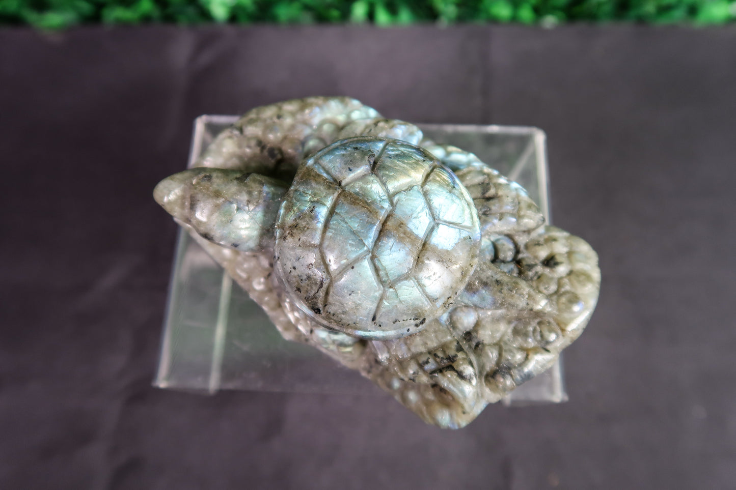 Labradorite Turtles