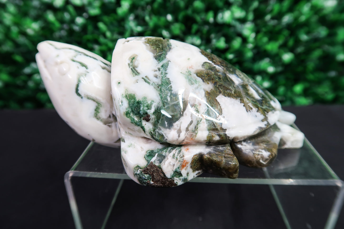 Large Moss Agate Turtle