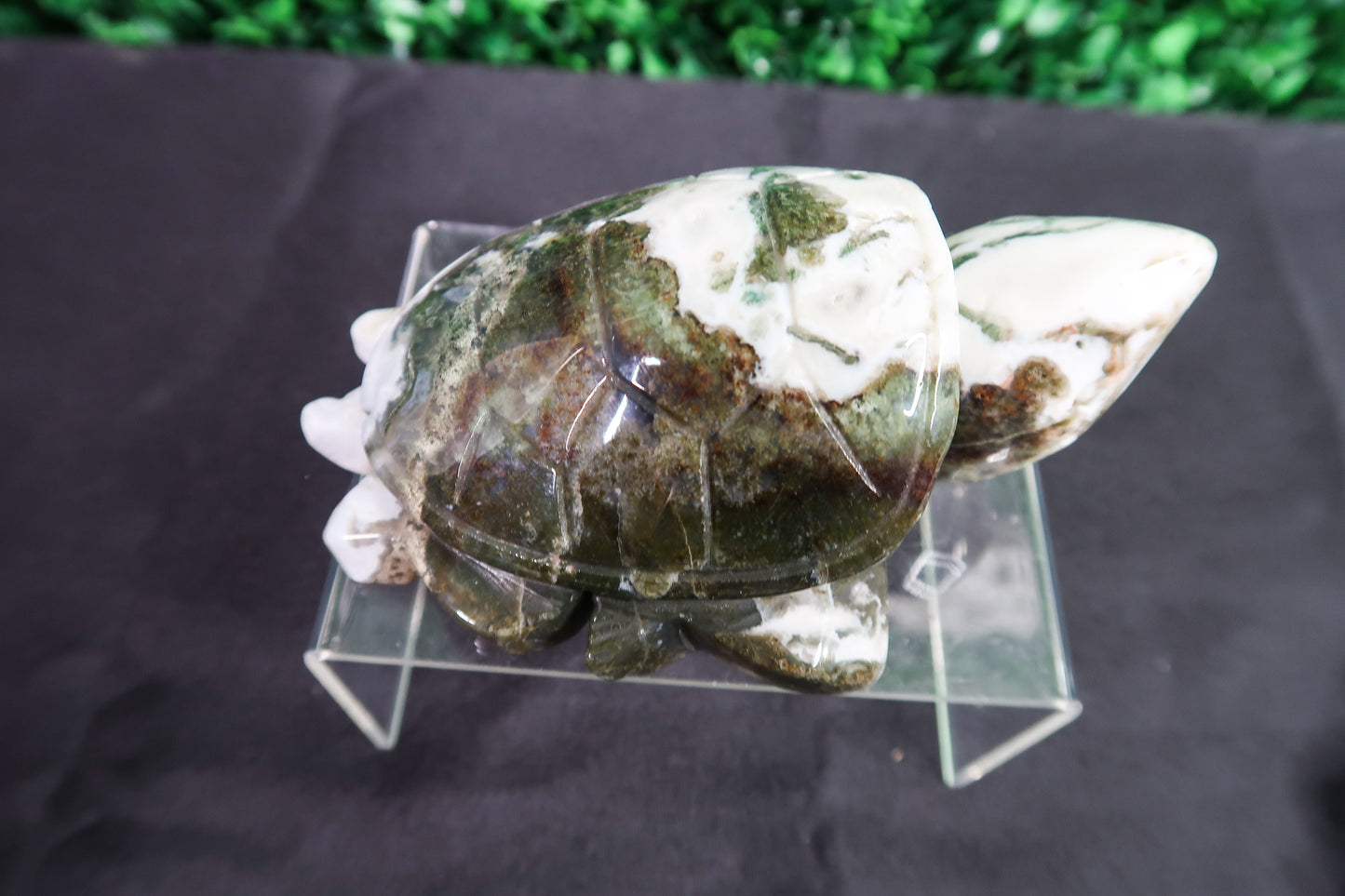 Large Moss Agate Turtle