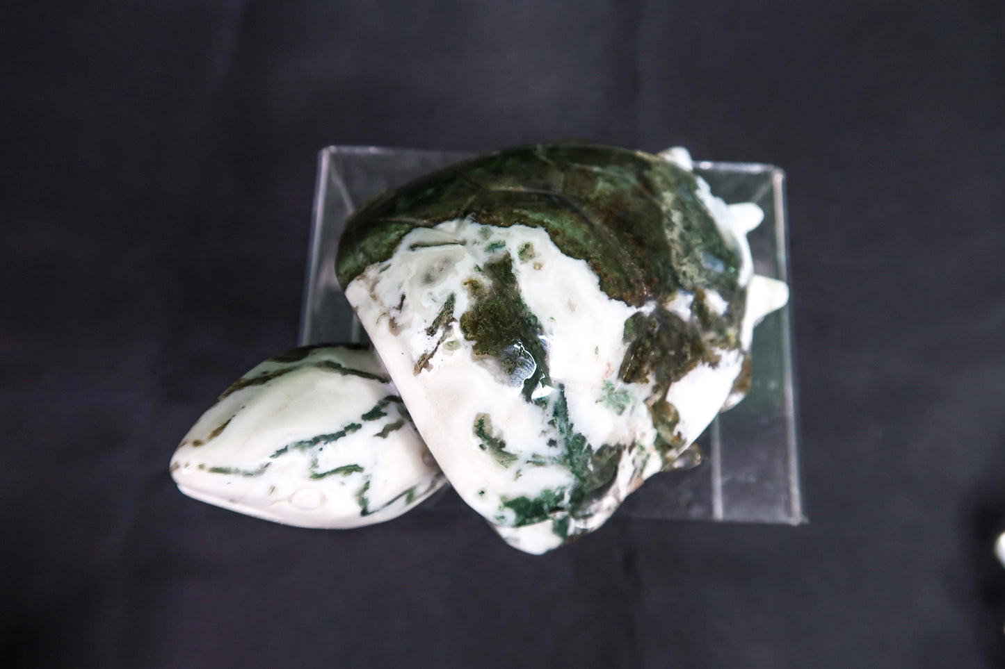 Large Moss Agate Turtle