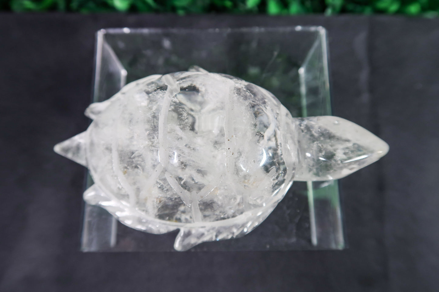 Clear Quartz Turtle