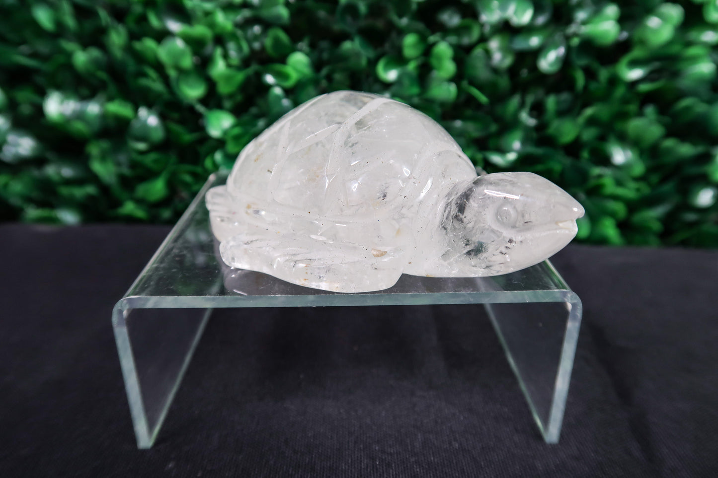 Clear Quartz Turtle