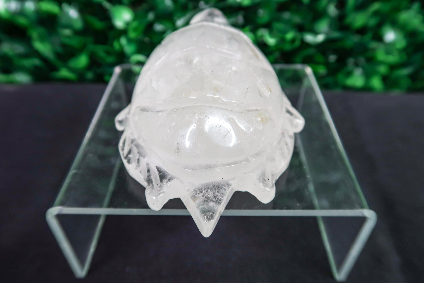 Clear Quartz Turtle