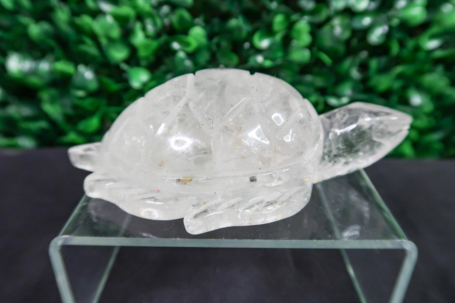 Clear Quartz Turtle