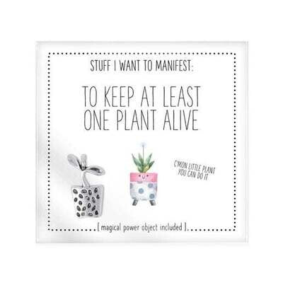 Stuff I Want to Manifest Cards & Charms