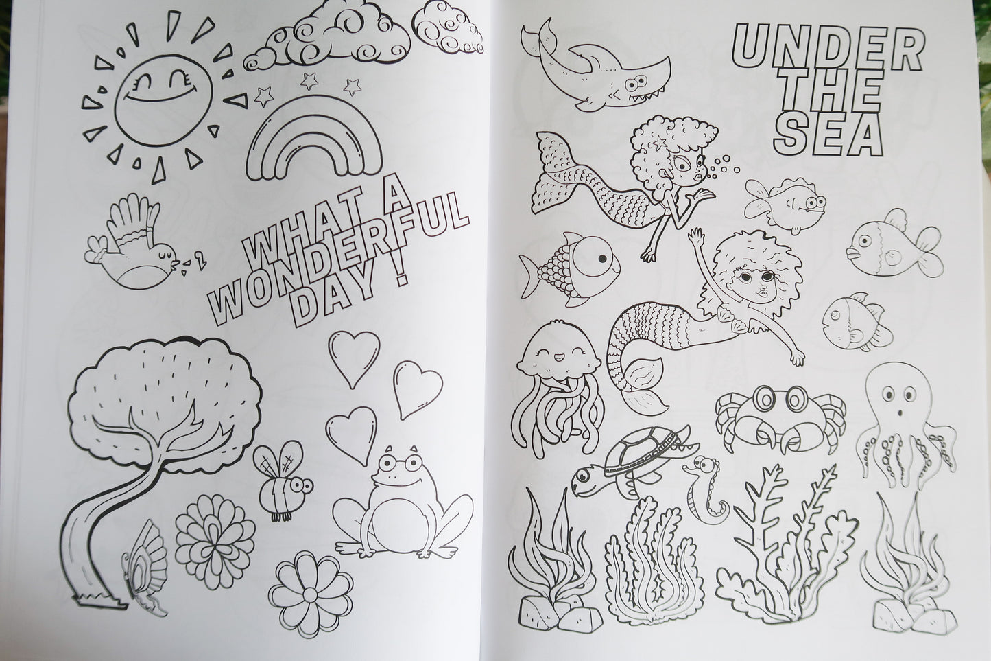 Crazy Shenanigans Coloring Book