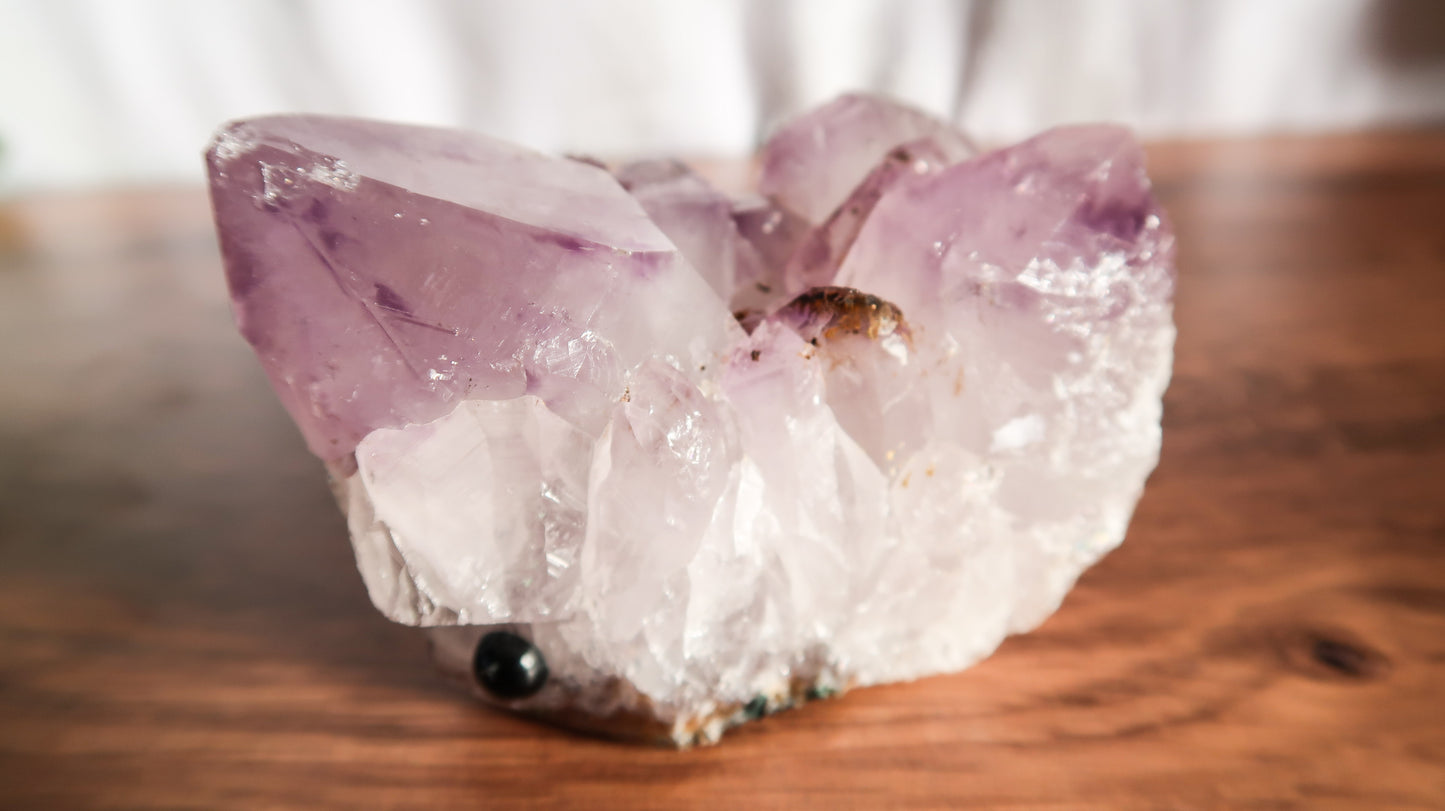 Cute Amethyst Cluster Carved Hedgehog