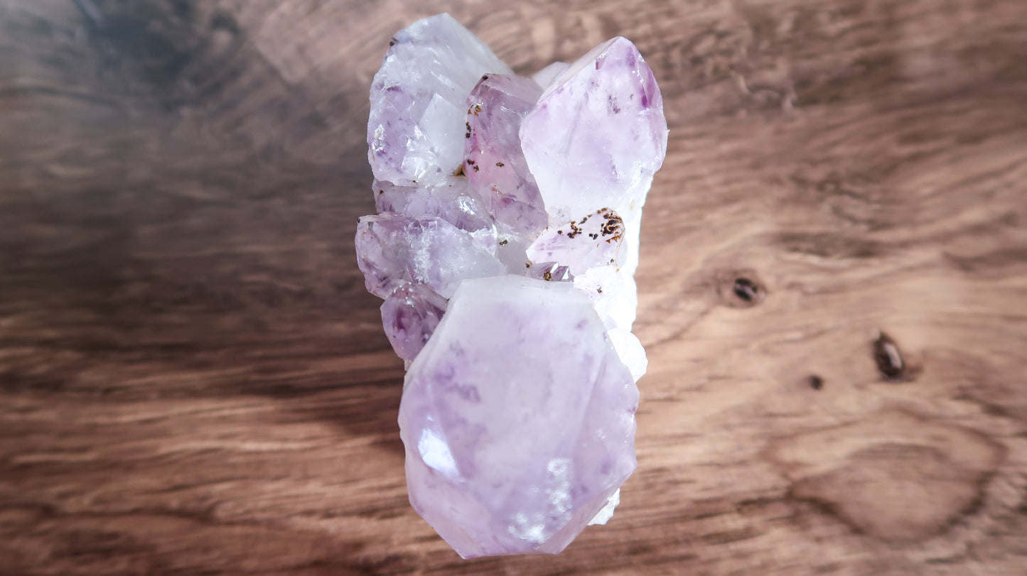 Cute Amethyst Cluster Carved Hedgehog